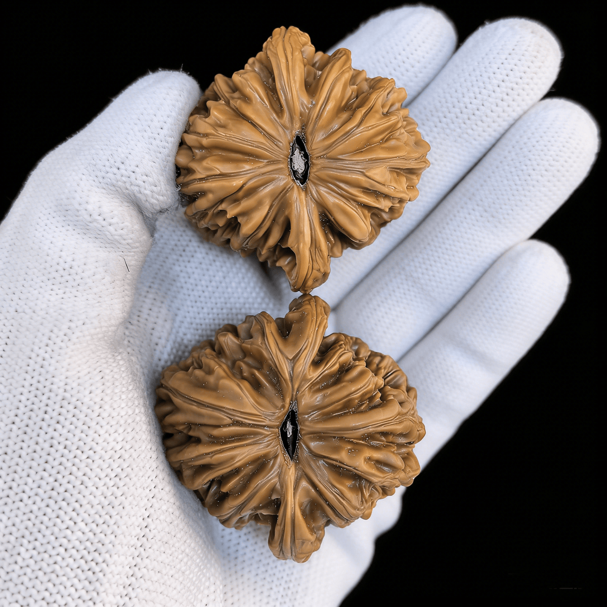 The "Four Towers" Lion Head (Si Zuo Lou) – 39mm Chrysanthemum Base | SZL-10 (Actual Item Pictured) - ThePatinaProject