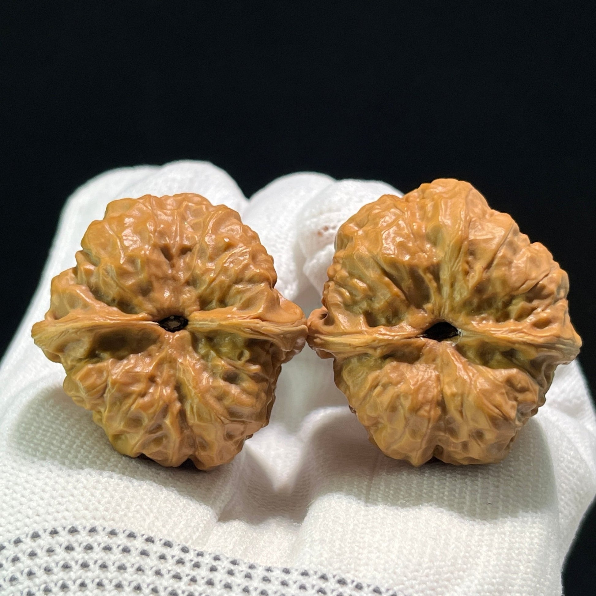 The "Frog" (Wa) Pair | 36.0mm x 38.0mm | W-601 - ThePatinaProject