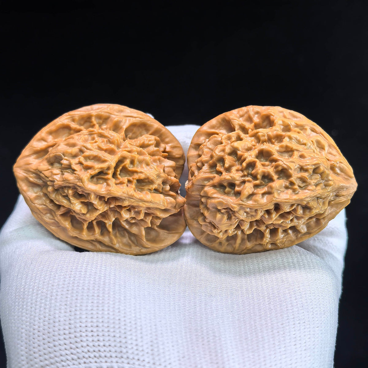 The "Gecko Arhat Head" Natural Mutation Base Pair | 42.0mm x 41.0mm | BHLHT-601 - ThePatinaProject