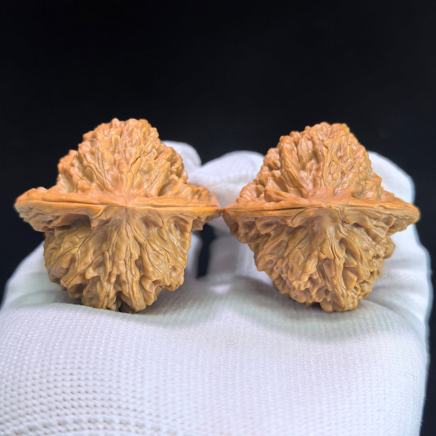 The "Gecko Arhat Head" Natural Mutation Base Pair | 42.0mm x 41.0mm | BHLHT-601 - ThePatinaProject