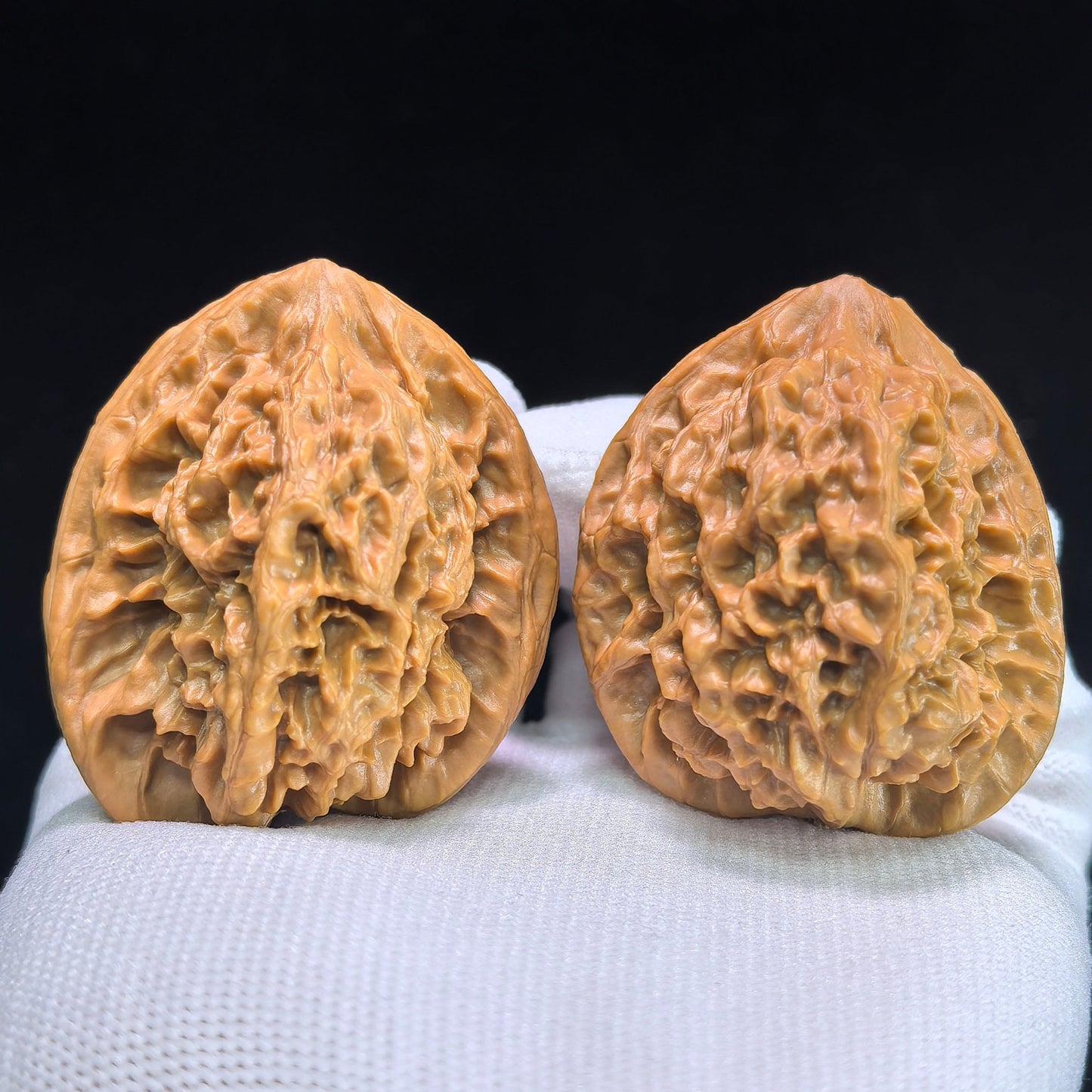 The "Gecko Arhat Head" Natural Mutation Base Pair | 42.0mm x 41.0mm | BHLHT-601 - ThePatinaProject