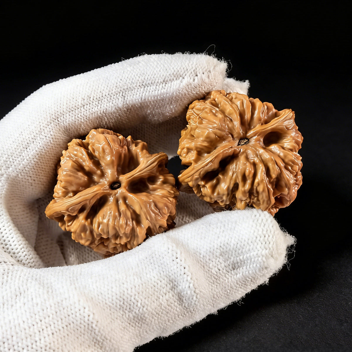 The "Gecko Luohan Head" (Bihu Luohan Tou) Pair | 35.0mm | BHLHT-01 - ThePatinaProject