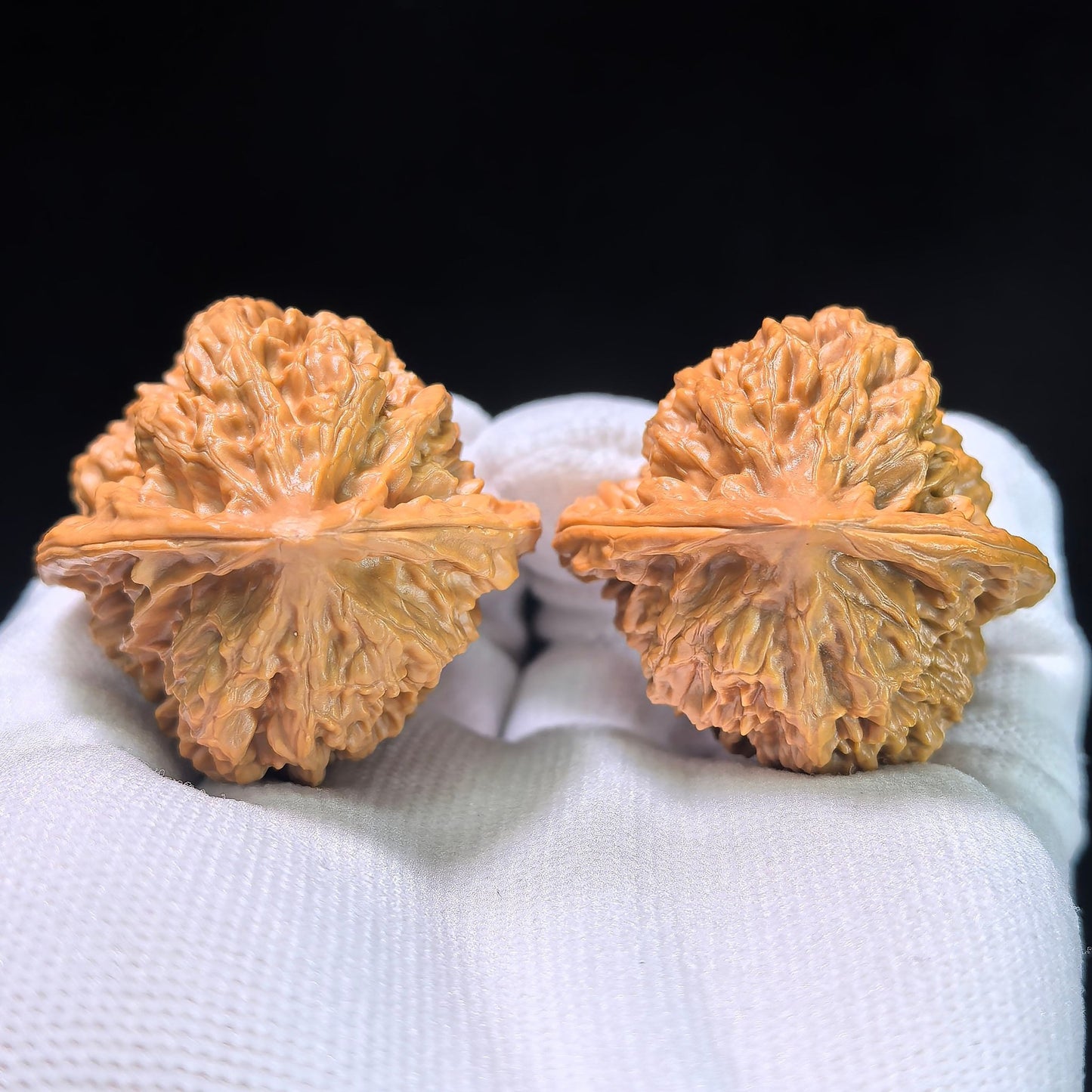 The "Gecko x Arhat Head" (Bi Hu x Luo Han Tou) Hybrid Pair | 41.0mm x 39.0mm | BHLHT-702 - ThePatinaProject