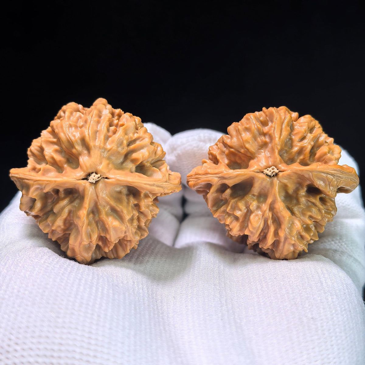 The "Gecko x Arhat Head" (Bi Hu x Luo Han Tou) Hybrid Pair | 41.0mm x 39.0mm | BHLHT-702 - ThePatinaProject