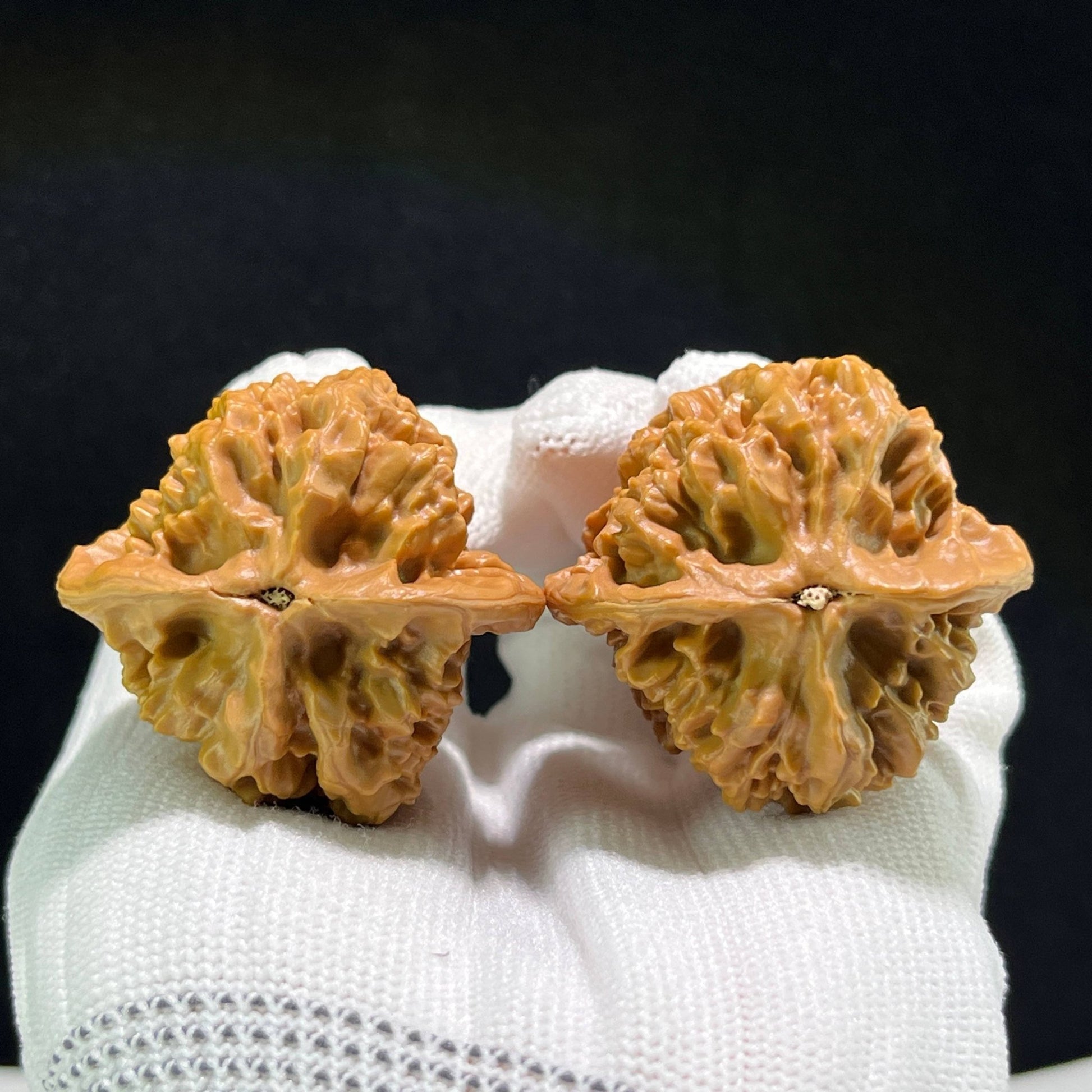 The "Gecko x Arhat Head" (Bi Hu x Luo Han Tou) Hybrid Pair | 41.0mm x 39.0mm | BHLHT-706 - ThePatinaProject