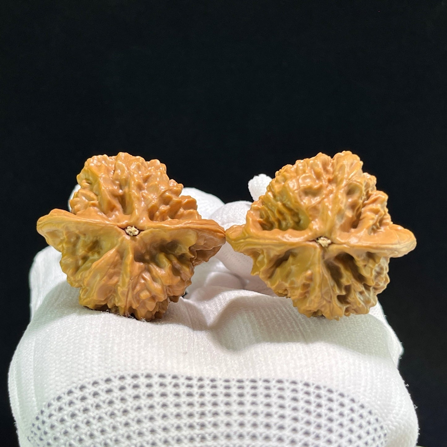The "Gecko x Arhat Head" (Bi Hu x Luo Han Tou) Hybrid Pair | 42.0mm x 37.0mm | BHLHT-704 - ThePatinaProject