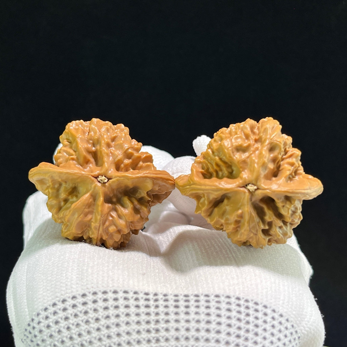 The "Gecko x Arhat Head" (Bi Hu x Luo Han Tou) Hybrid Pair | 42.0mm x 37.0mm | BHLHT-704 - ThePatinaProject