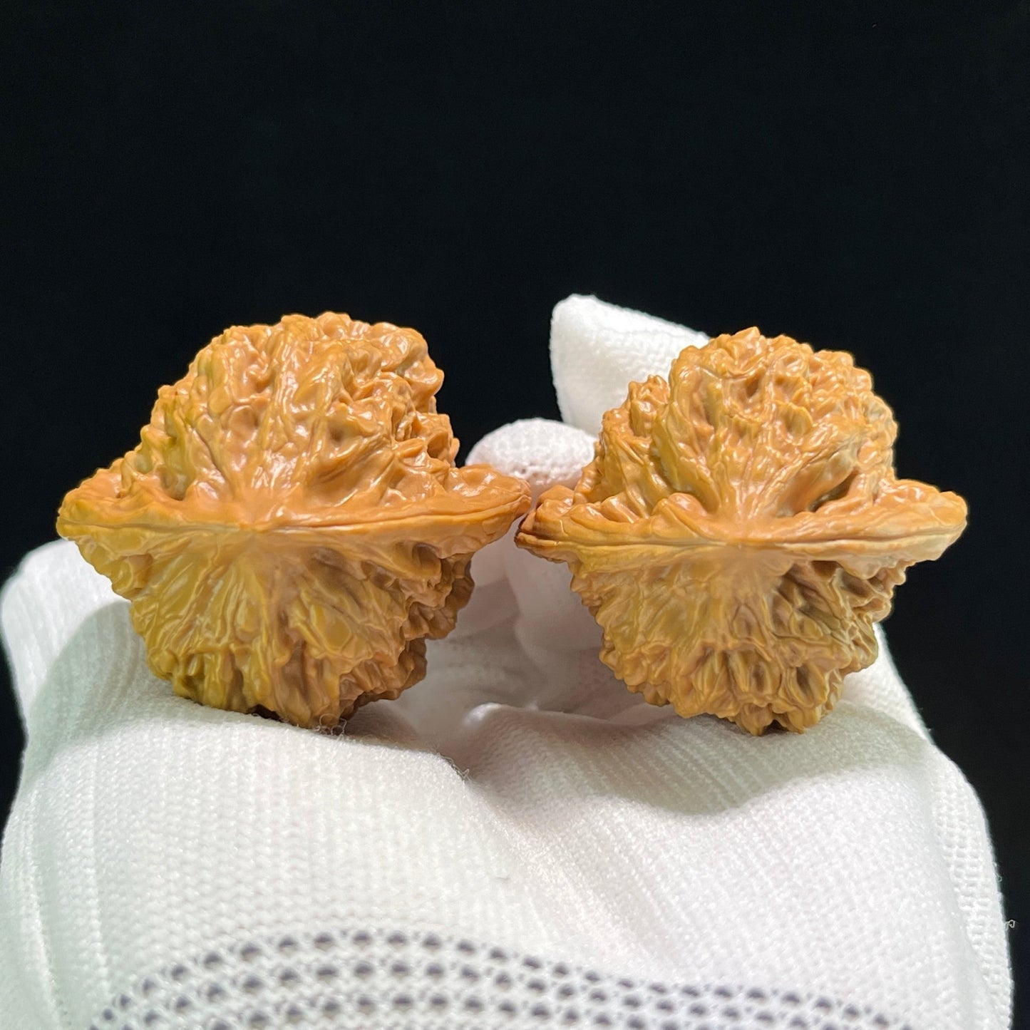 The "Gecko x Arhat Head" (Bi Hu x Luo Han Tou) Hybrid Pair | 42.0mm x 37.0mm | BHLHT-704 - ThePatinaProject