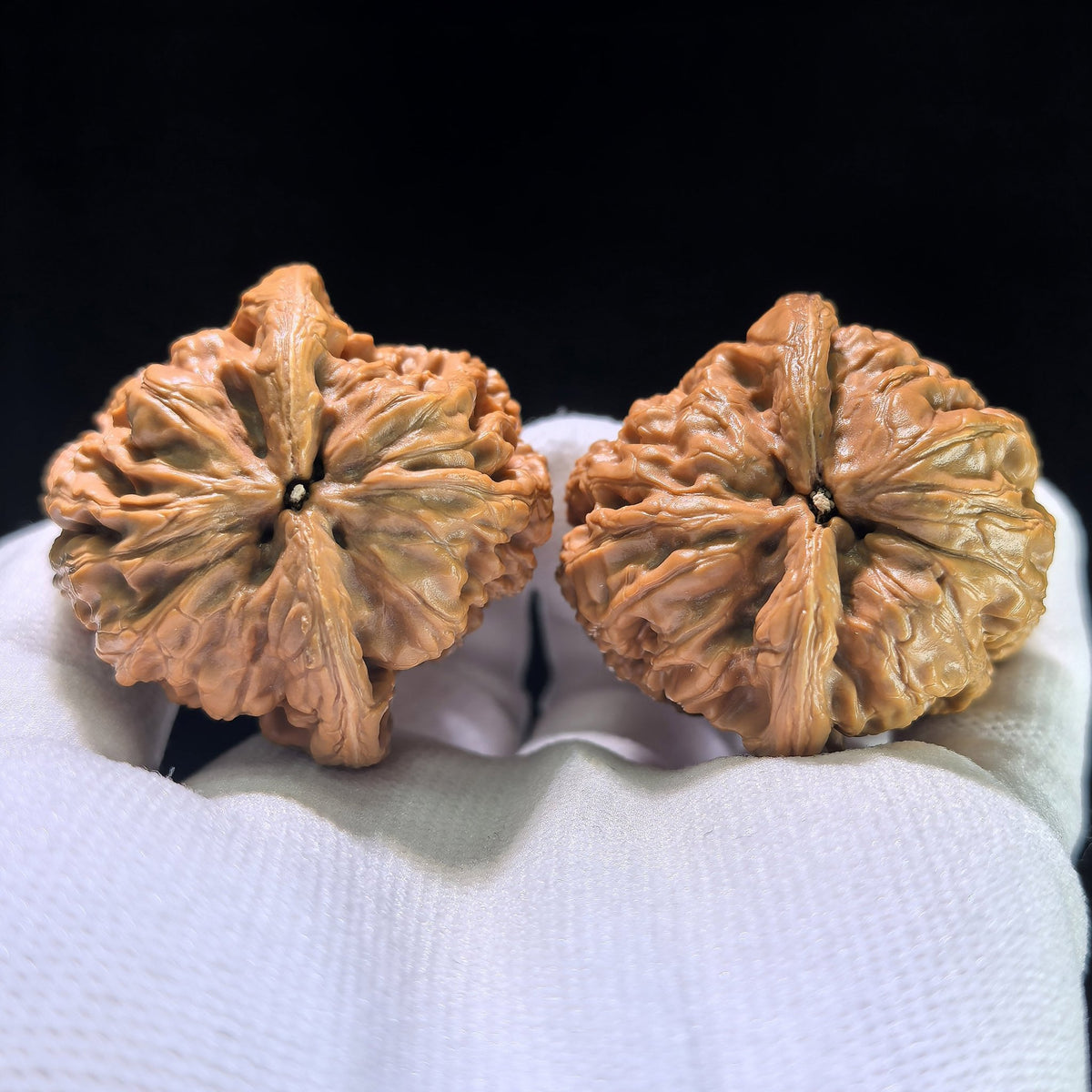 The "General's Shoulders" (Jiang Jun Bang) Balanced High-Stature Pair | 45.0mm x 45.0mm | HBJJB-901 - ThePatinaProject