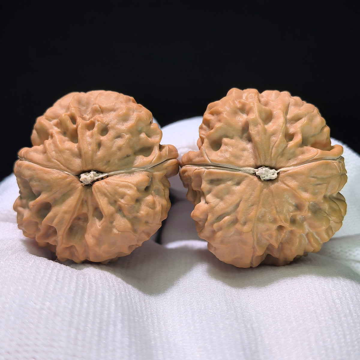 The "Golden Cicada Vase" (Jin Chan Zun) Deep-Belly EDC Pair | 34.0mm x 37.0mm | JCZ-1101 - ThePatinaProject