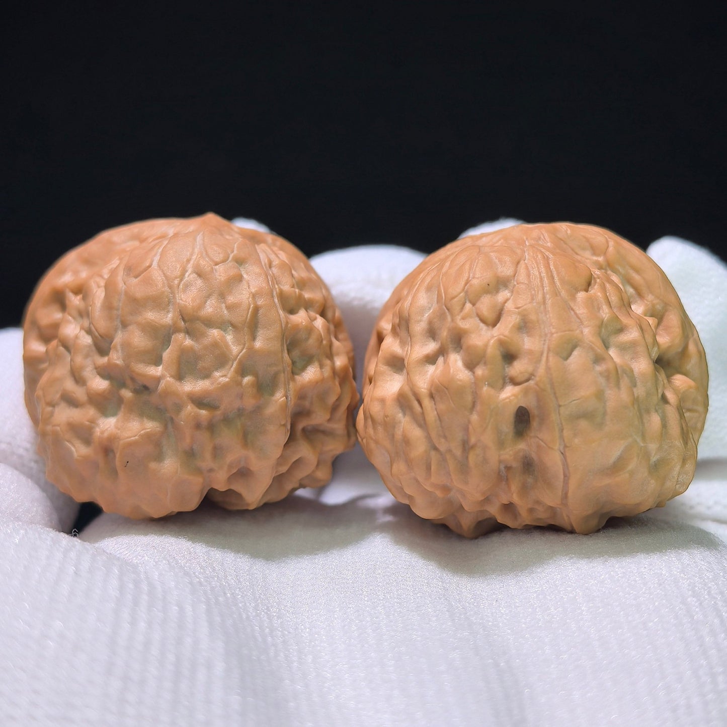 The "Golden Cicada Vase" (Jin Chan Zun) Deep-Belly EDC Pair | 34.0mm x 37.0mm | JCZ-1101 - ThePatinaProject