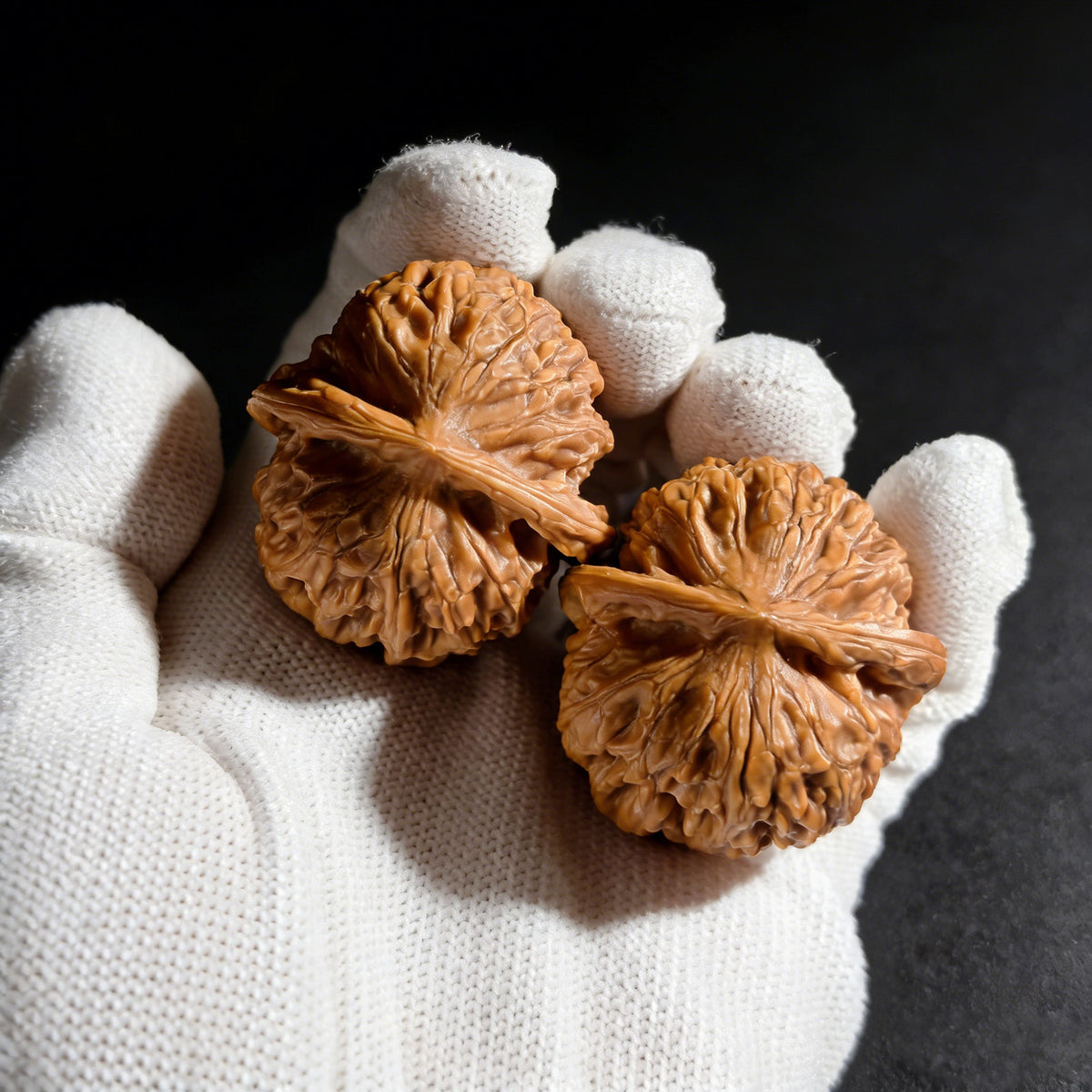 The "Golden Ingot" (Jin Ding Yuan Bao) Pair | 47.0mm x 47.0mm | JDYB-01 - ThePatinaProject