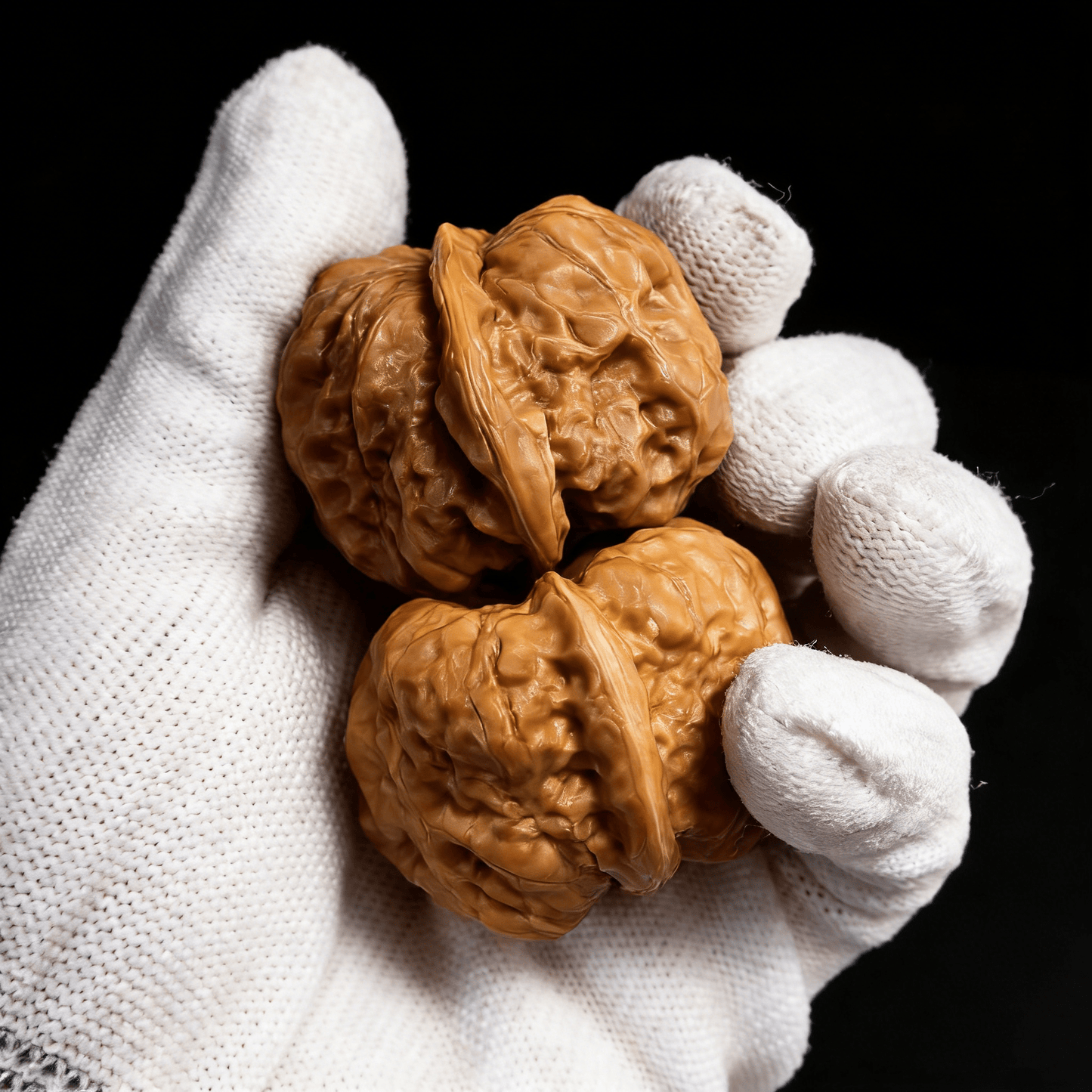 The "Golden Money Toad" (Ha Ma Tou) – 40mm Rare Pictographic Pair | HMT-25 (Actual Item Pictured) - ThePatinaProject