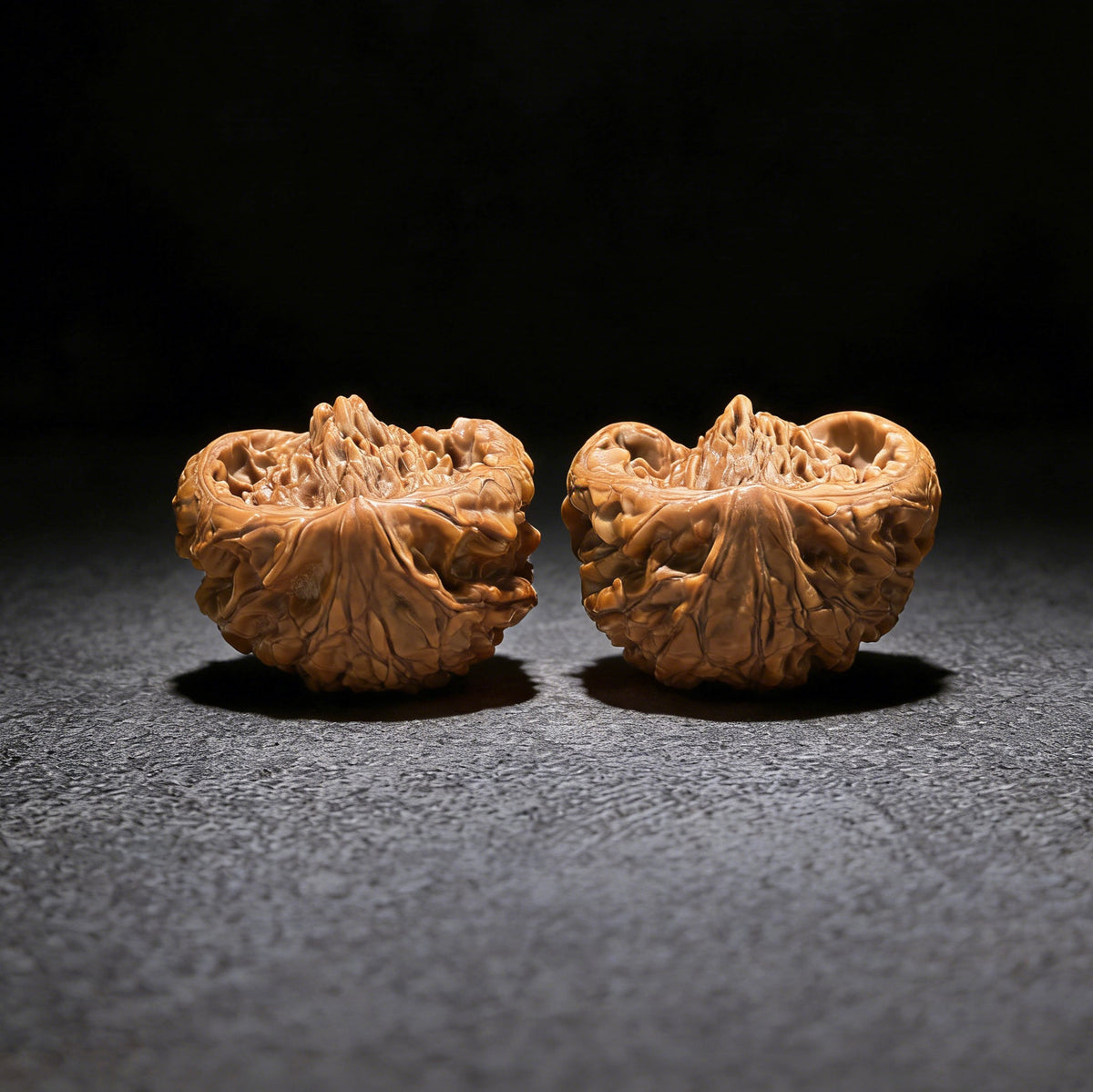 The "Golden Mountain Treasure Bowl" Snake Head Pair | Collection Grade | 46.0mm x 37.0mm | JSJBP-001S - ThePatinaProject
