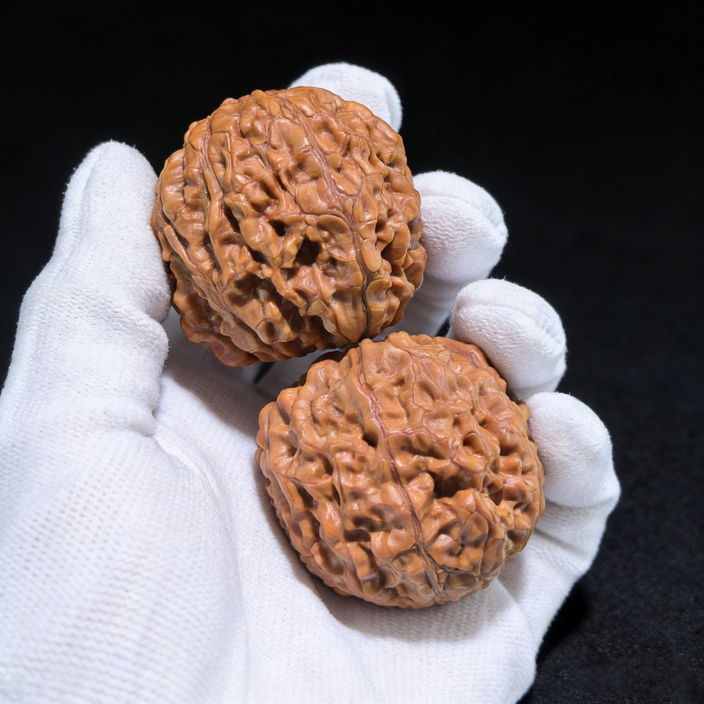 The "Golden Mountain Treasure Bowl" Snake Head Pair | Collection Grade | 46.0mm x 37.0mm | JSJBP-001S - ThePatinaProject