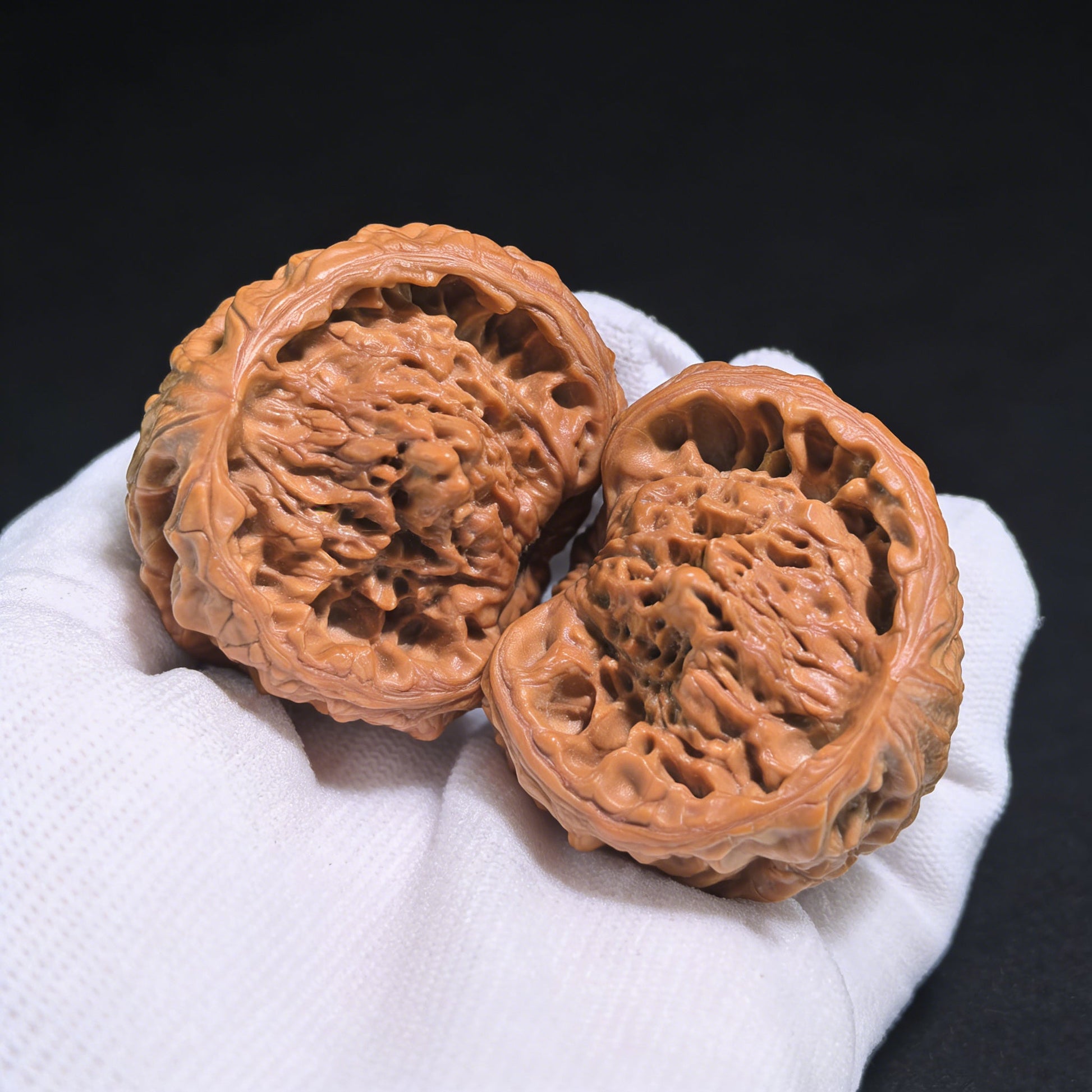 The "Golden Mountain Treasure Bowl" Snake Head Pair | Collection Grade | 46.0mm x 37.0mm | JSJBP-001S - ThePatinaProject