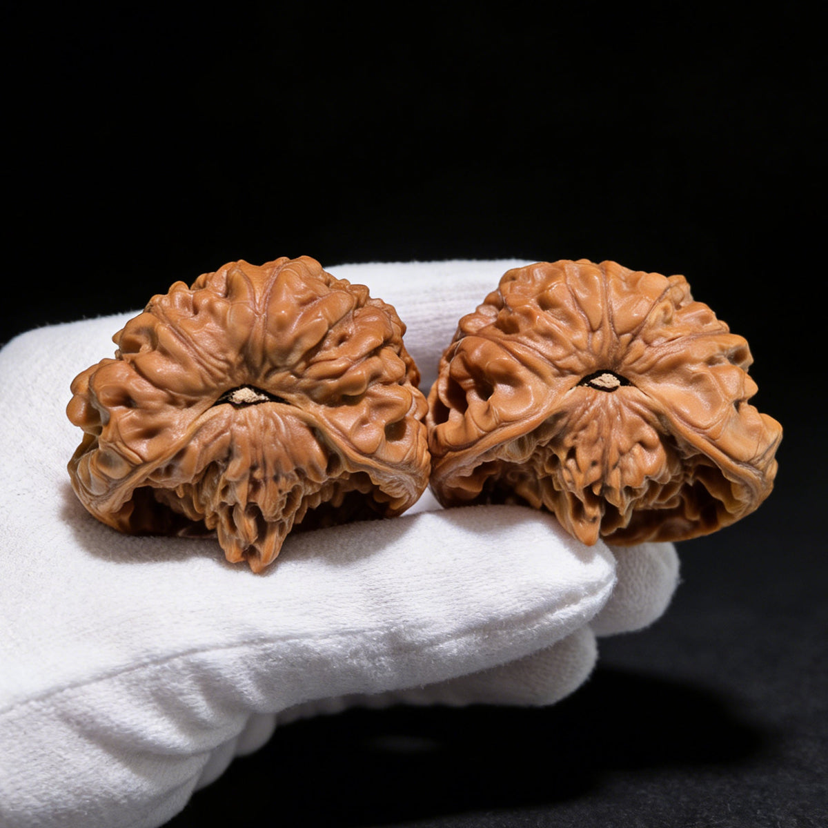 The "Golden Mountain Treasure Bowl" Snake Head Pair | Collection Grade | 46.0mm x 37.0mm | JSJBP-001S - ThePatinaProject