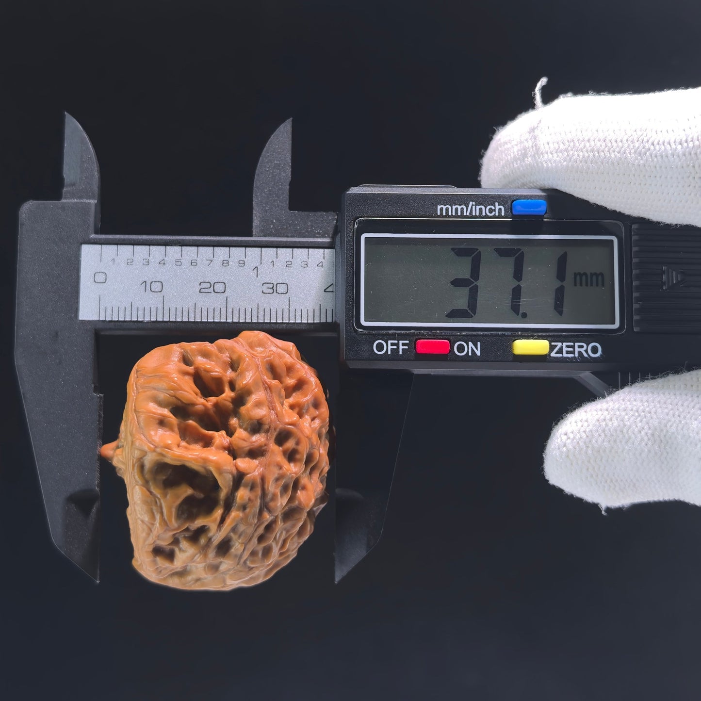 The "Golden Mountain Treasure Bowl" Snake Head Pair | Collection Grade | 46.0mm x 37.0mm | JSJBP-001S - ThePatinaProject