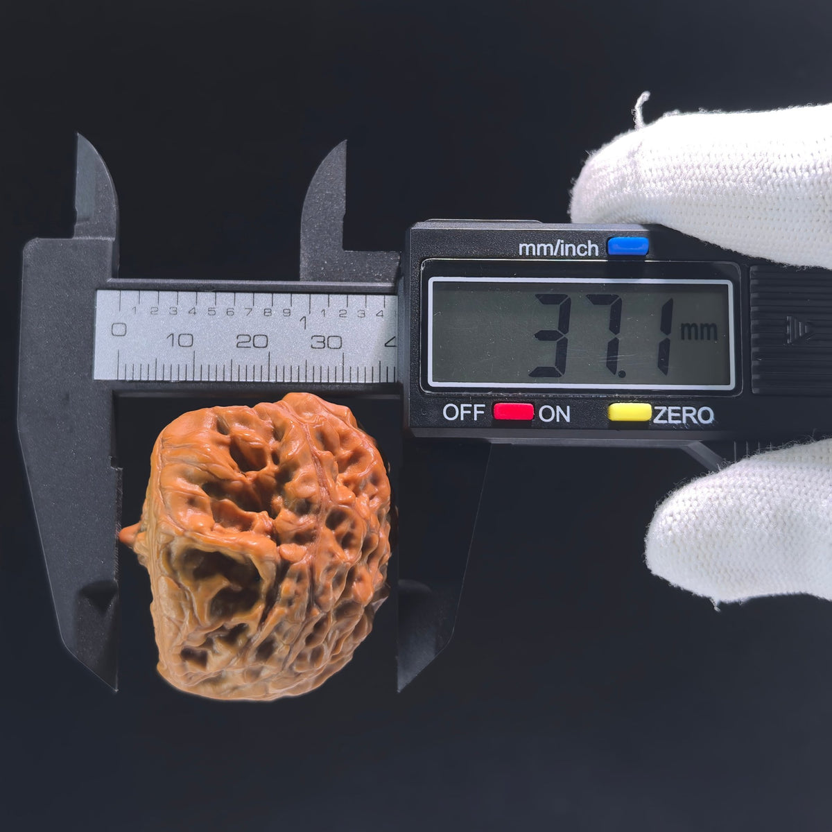 The "Golden Mountain Treasure Bowl" Snake Head Pair | Collection Grade | 46.0mm x 37.0mm | JSJBP-001S - ThePatinaProject