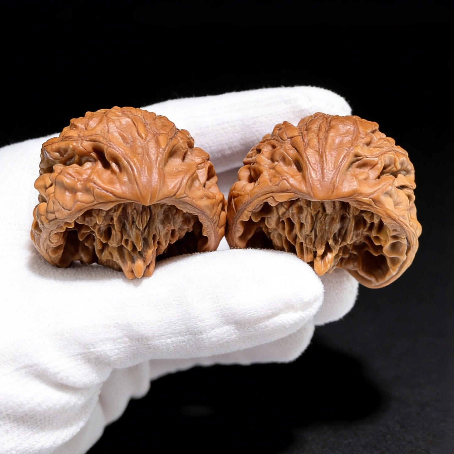 The "Golden Mountain Treasure Bowl" Snake Head Pair | Collection Grade | 46.0mm x 37.0mm | JSJBP-001S - ThePatinaProject