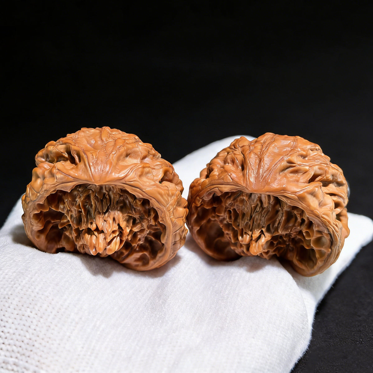 The "Golden Mountain Treasure Bowl" Snake Head Pair | Collection Grade | 46.0mm x 37.0mm | JSJBP-001S - ThePatinaProject