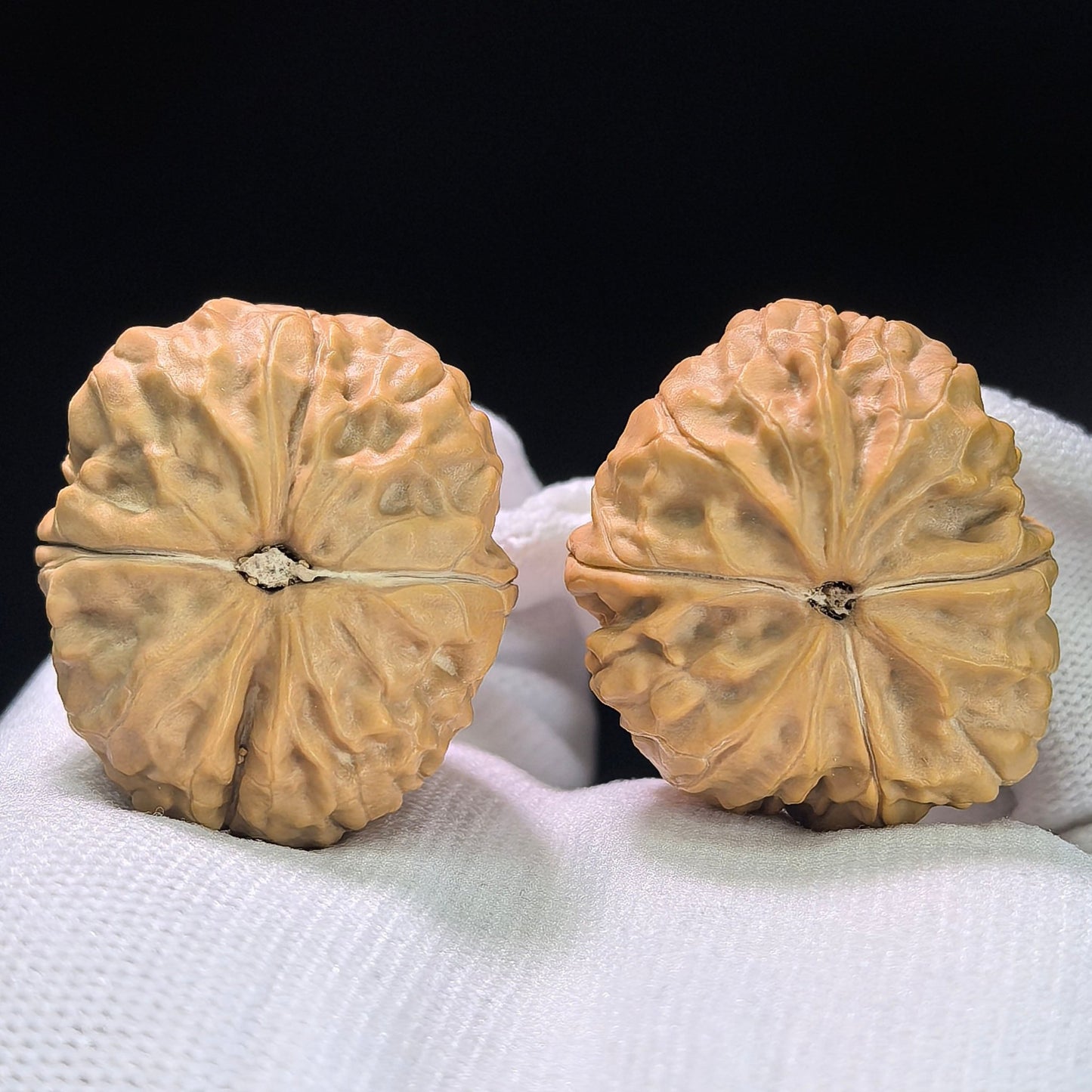 The "Golden Toad" (Jin Chan Zun) Miniature Deep-Belly Pair | 31.0mm x 36.0mm | JCZ-1402 - ThePatinaProject