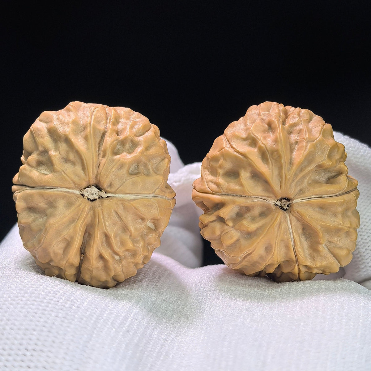 The "Golden Toad" (Jin Chan Zun) Miniature Deep-Belly Pair | 31.0mm x 36.0mm | JCZ-1402 - ThePatinaProject
