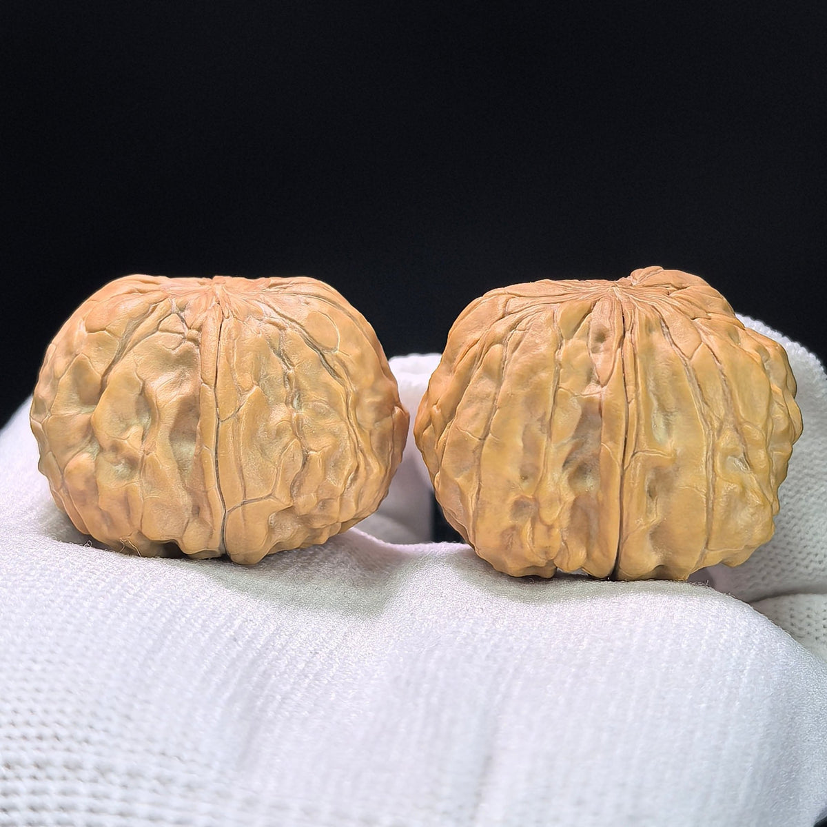 The "Golden Toad" (Jin Chan Zun) Miniature Deep-Belly Pair | 31.0mm x 36.0mm | JCZ-1402 - ThePatinaProject