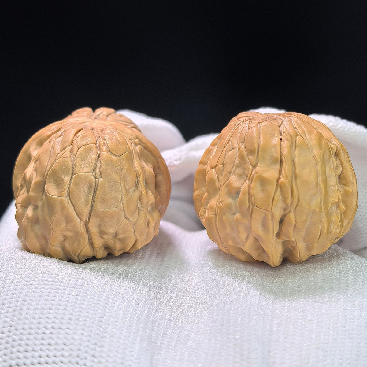 The "Golden Toad" (Jin Chan Zun) Miniature Deep-Belly Pair | 31.0mm x 36.0mm | JCZ-1402 - ThePatinaProject