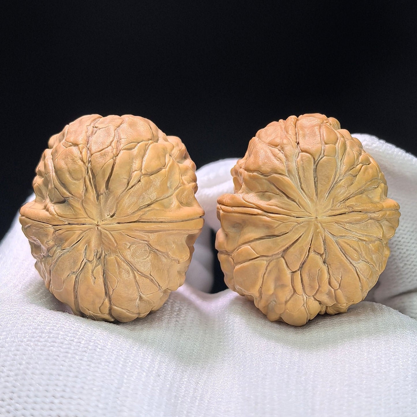 The "Golden Toad" (Jin Chan Zun) Miniature Deep-Belly Pair | 31.0mm x 36.0mm | JCZ-1402 - ThePatinaProject