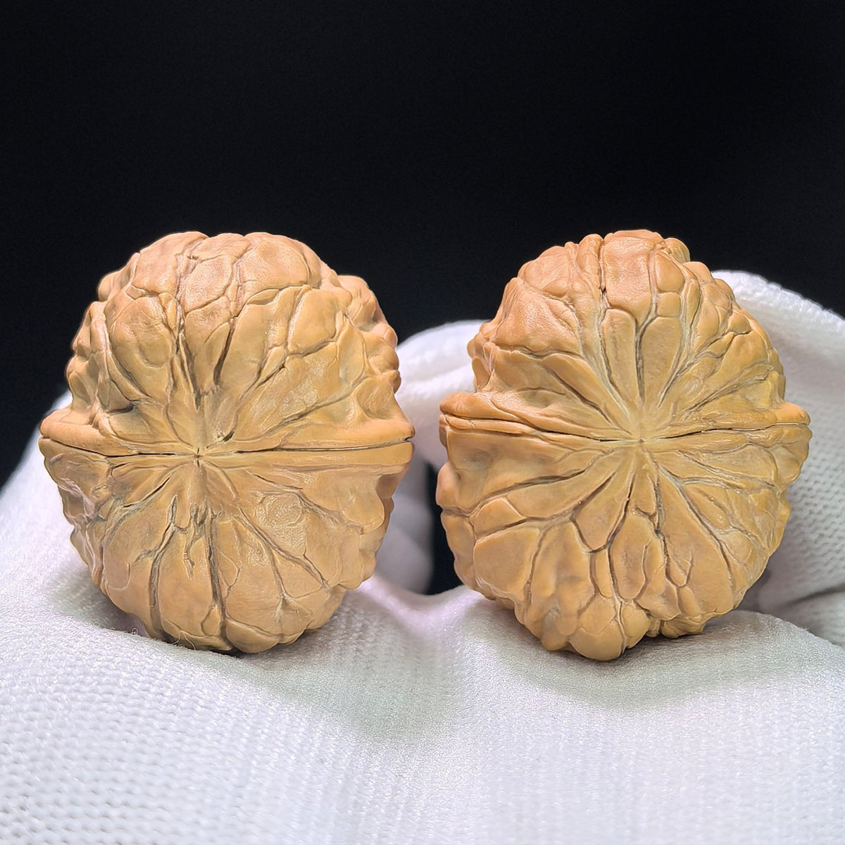 The "Golden Toad" (Jin Chan Zun) Miniature Deep-Belly Pair | 31.0mm x 36.0mm | JCZ-1402 - ThePatinaProject