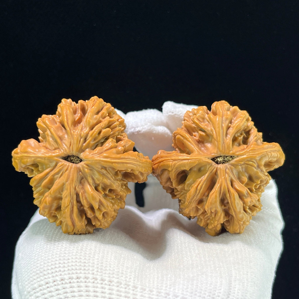 The "Golden Wheat Ear" Tiger Head (Mai Sui Hu Tou) Premium Collector's Pair | 44.0mm x 44.0mm | 1:1 Perfect Isometric Standard | MSHT-1002 - ThePatinaProject