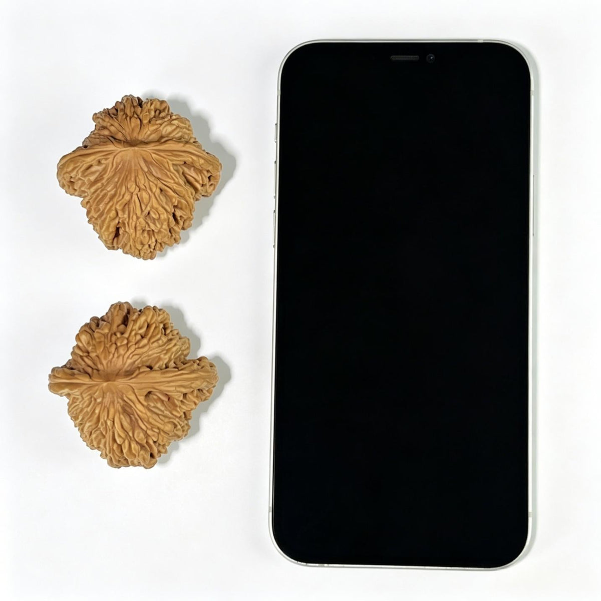 The "Golden Wheat Ear" Tiger Head (Mai Sui Hu Tou) Premium Collector's Pair | 44.0mm x 44.0mm | 1:1 Perfect Isometric Standard | MSHT-1002 - ThePatinaProject