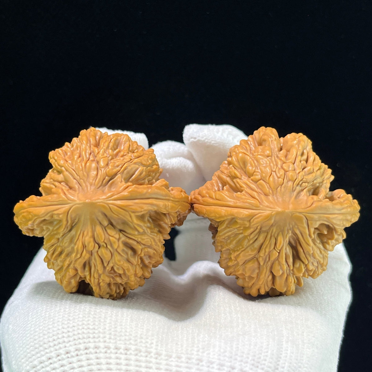 The "Golden Wheat Ear" Tiger Head (Mai Sui Hu Tou) Premium Collector's Pair | 44.0mm x 44.0mm | 1:1 Perfect Isometric Standard | MSHT-1002 - ThePatinaProject