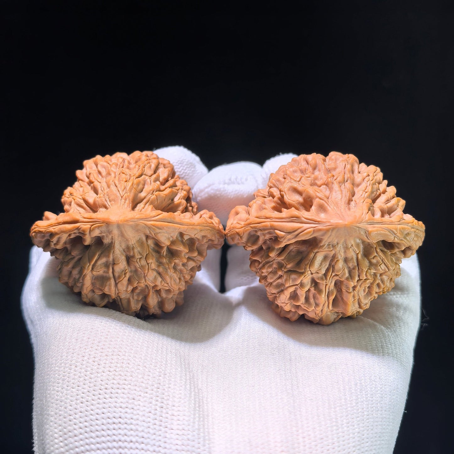 The "Grand Guanmao" Concave-Base Matched Pair | 50.0mm x 44.0mm | DGM-1202C - ThePatinaProject