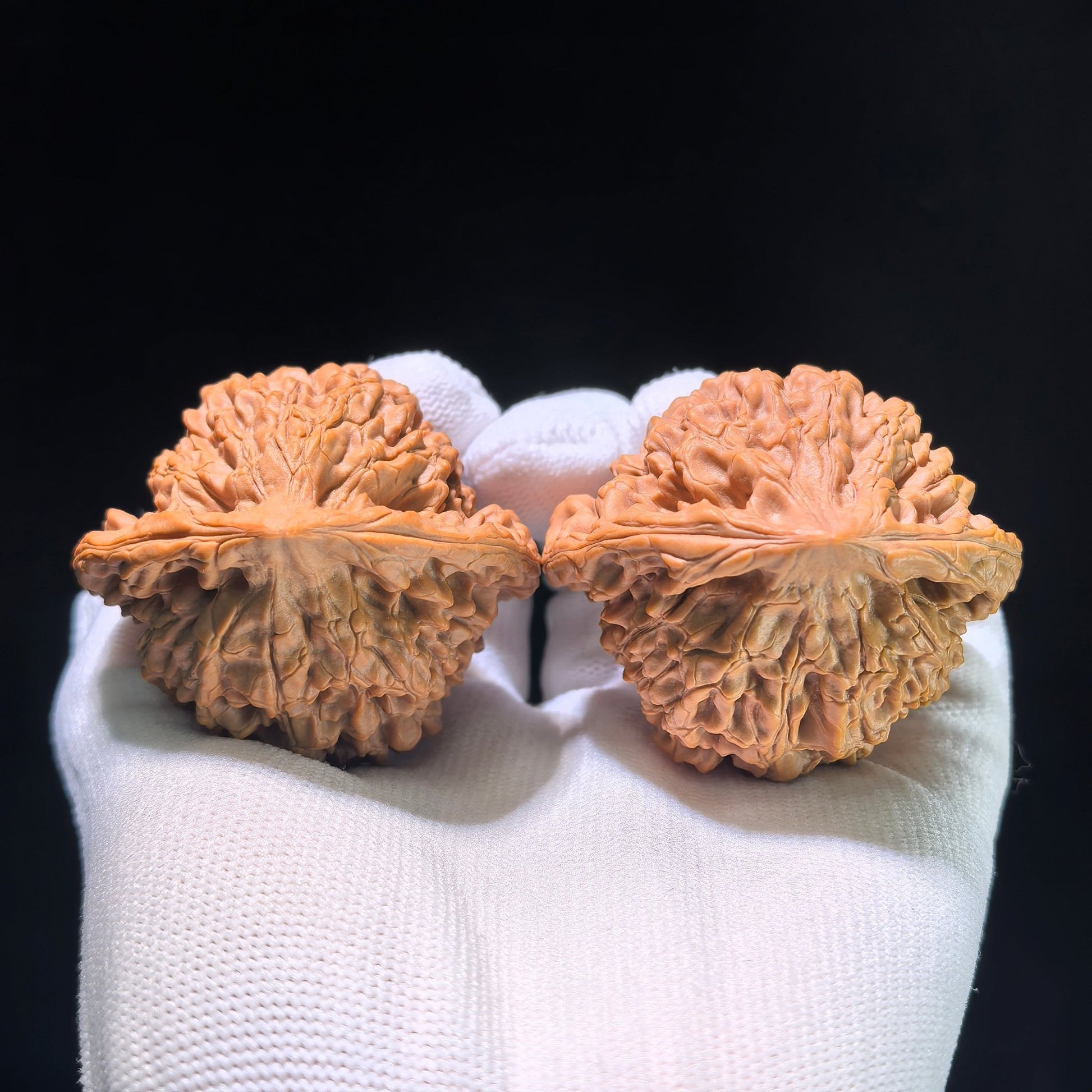 The "Grand Guanmao" Concave-Base Matched Pair | 50.0mm x 44.0mm | DGM-1202C - ThePatinaProject