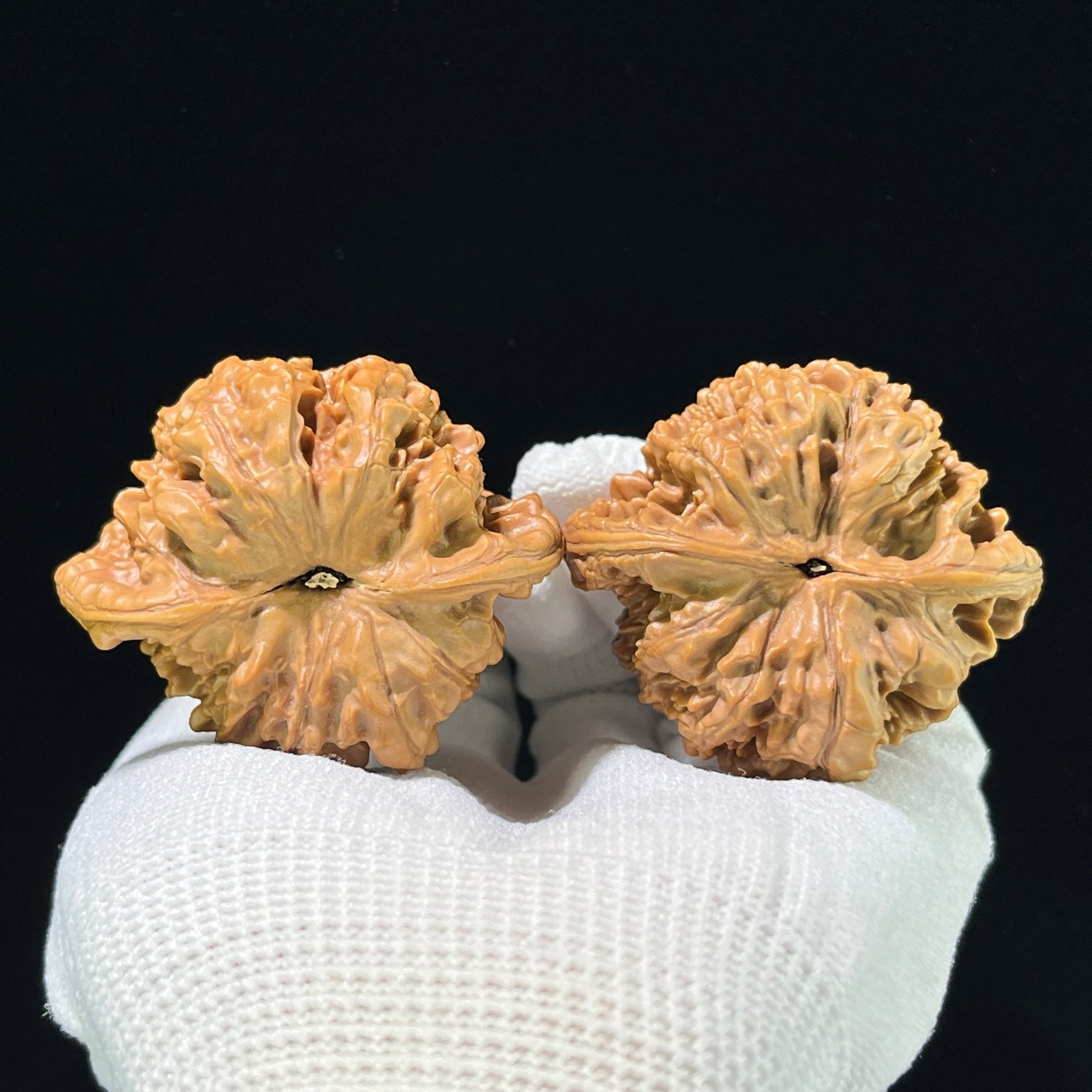 The "Grand Official's Hat" (Da Guan Mao) Collector-Scale Broad Edge Pair | 49.0mm x 39.0mm | DGM-903 - ThePatinaProject