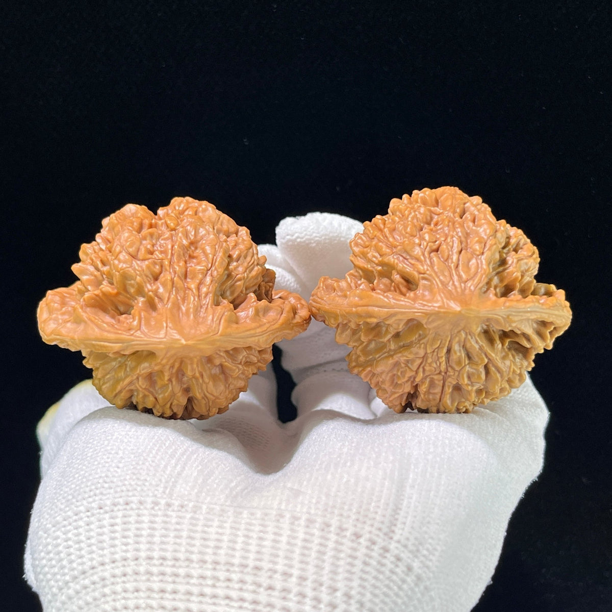 The "Grand Official's Hat" (Da Guan Mao) Collector-Scale Broad Edge Pair | 49.0mm x 39.0mm | DGM-903 - ThePatinaProject