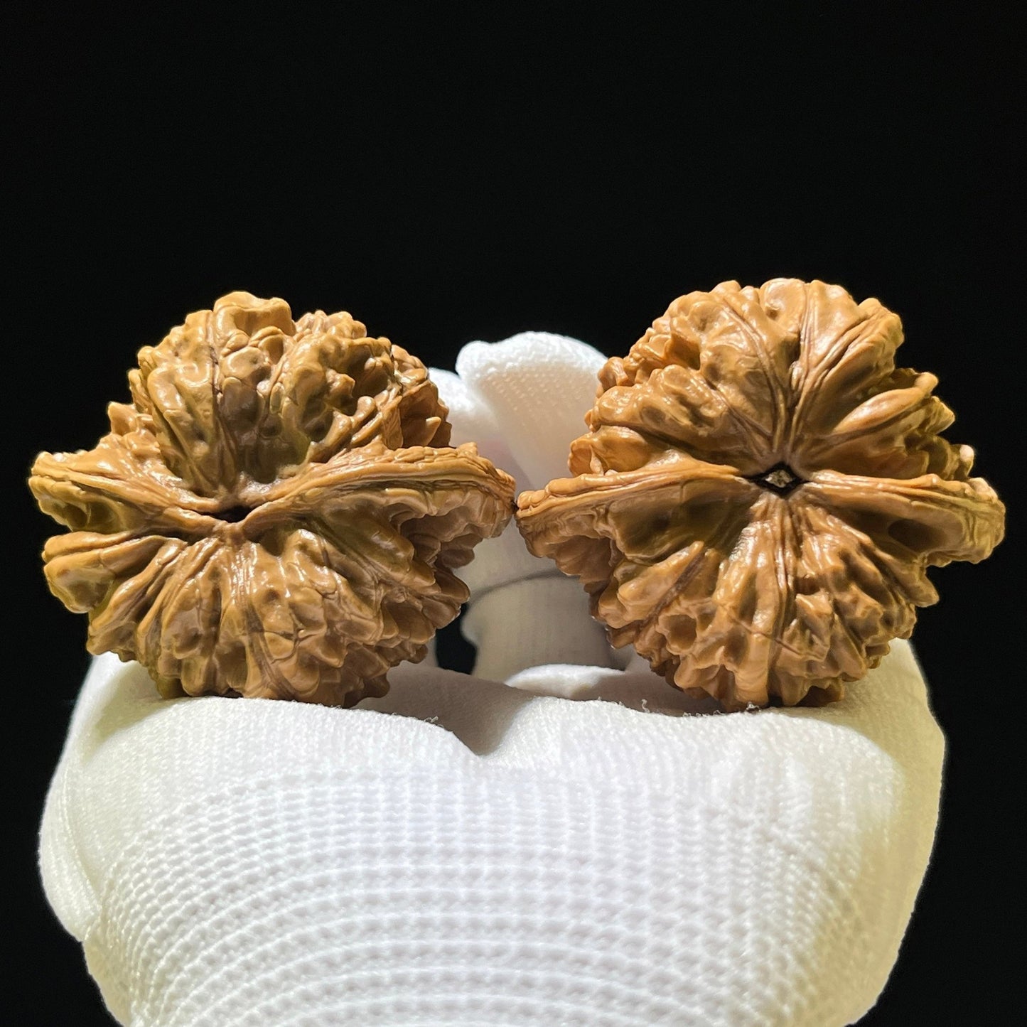 The "Grand Official's Hat" (Da Guan Mao) Colossal Behemoth | 51.0mm x 45.0mm | DGM-1201C - ThePatinaProject