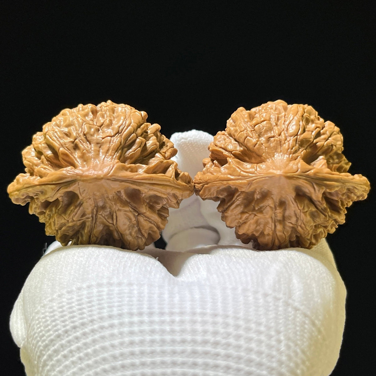 The "Grand Official's Hat" (Da Guan Mao) Colossal Behemoth | 51.0mm x 45.0mm | DGM-1201C - ThePatinaProject