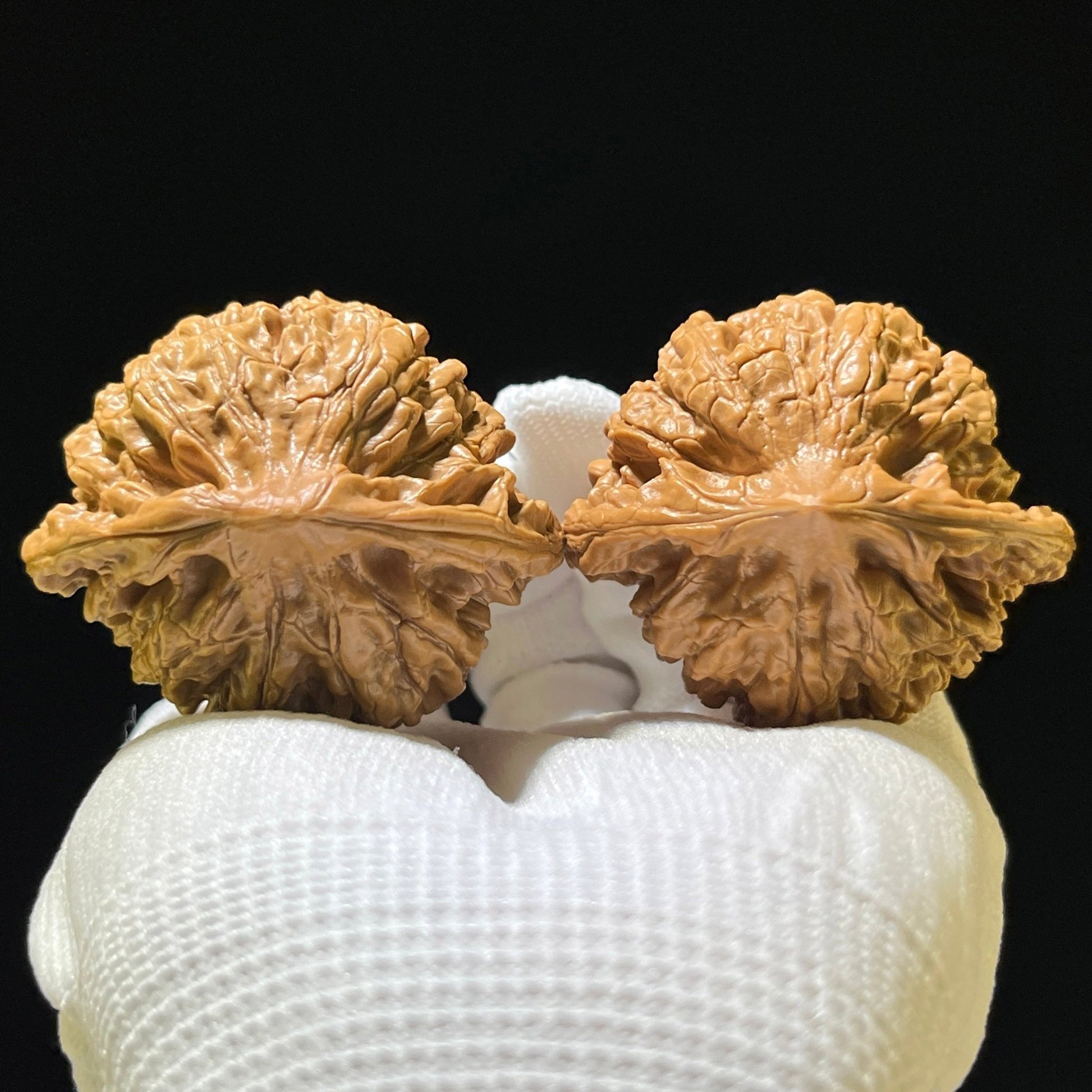 The "Grand Official's Hat" (Da Guan Mao) Colossal Behemoth | 51.0mm x 45.0mm | DGM-1201C - ThePatinaProject