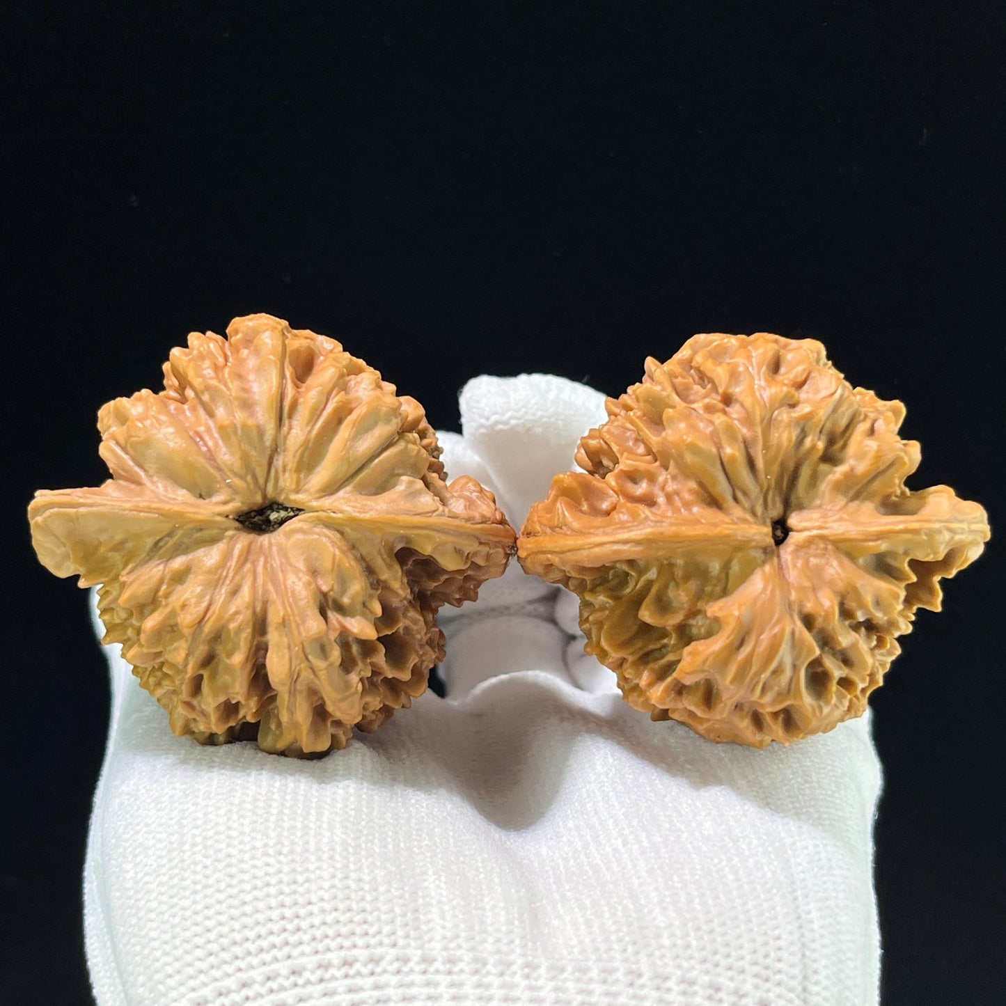 The "Grand Official's Hat" (Da Guan Mao) Colossal Winged Giant | 48.0mm x 44.0mm | DGM-901 - ThePatinaProject