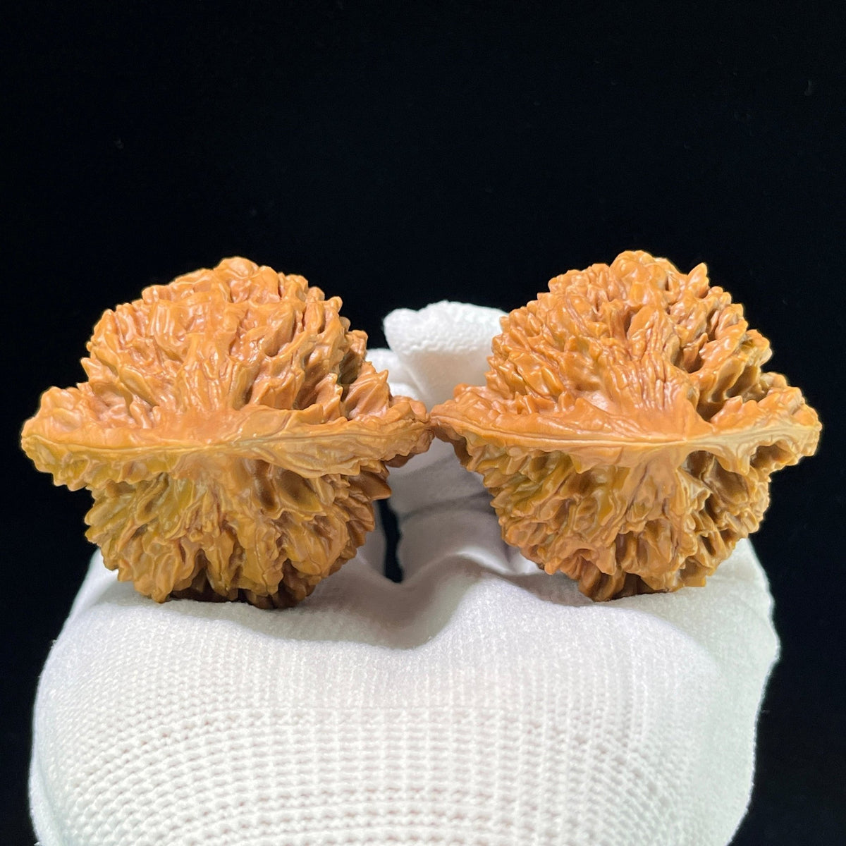 The "Grand Official's Hat" (Da Guan Mao) Colossal Winged Giant | 48.0mm x 44.0mm | DGM-901 - ThePatinaProject
