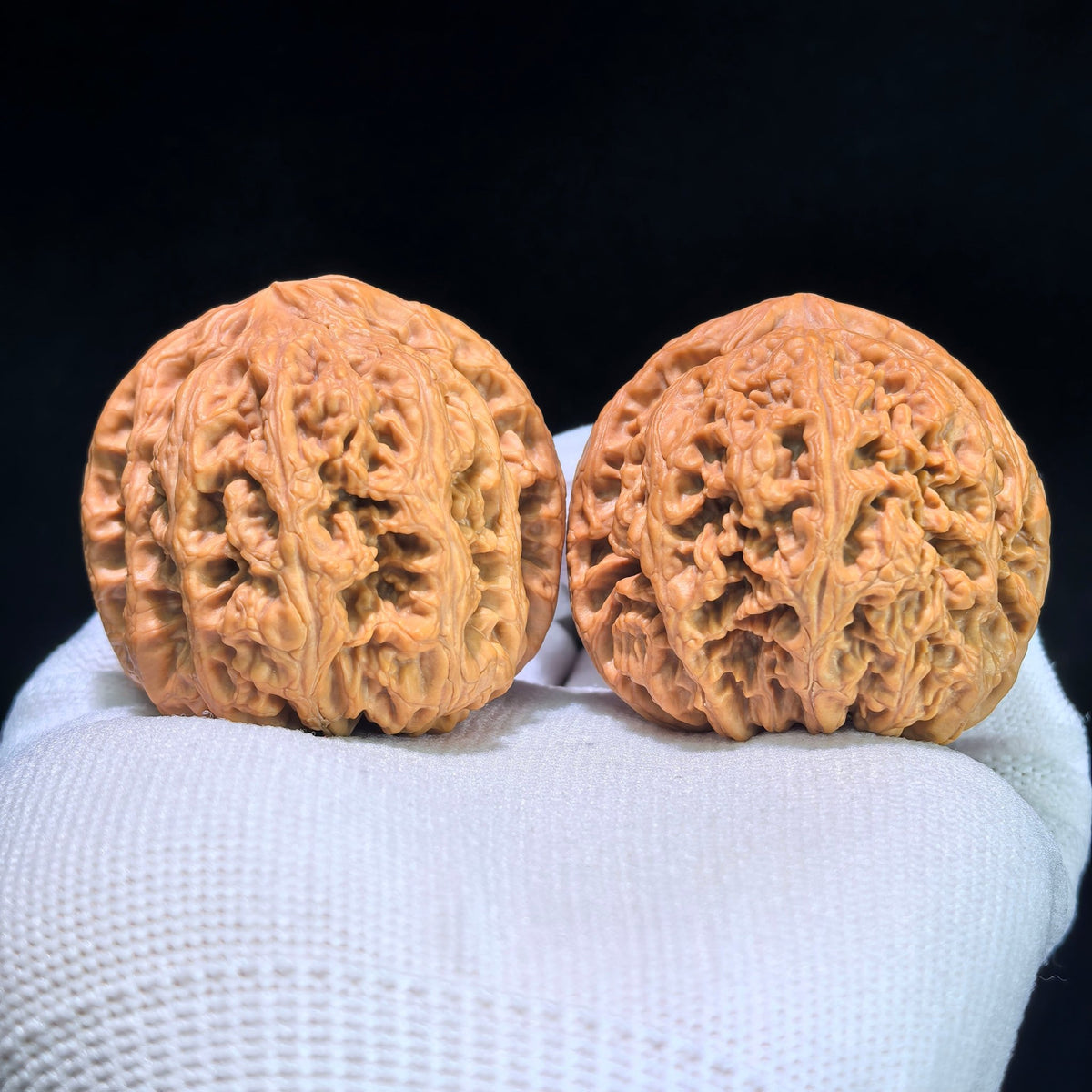 The "Grand Thick Ridge" (Da Cu Jin) Perfectly Balanced Boutique Pair | 43.0mm x 42.0mm | CJ-1201C - ThePatinaProject