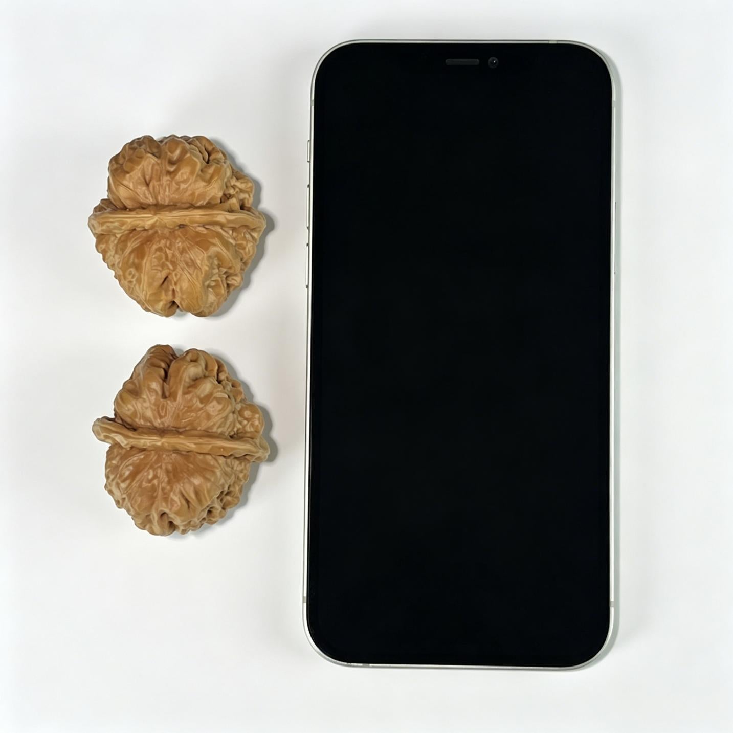 The "Great Hollow Base" (Da Wa) Traditional Deep-Belly Lion Head Pair | 40.0mm x 42.0mm | W-1001 - ThePatinaProject