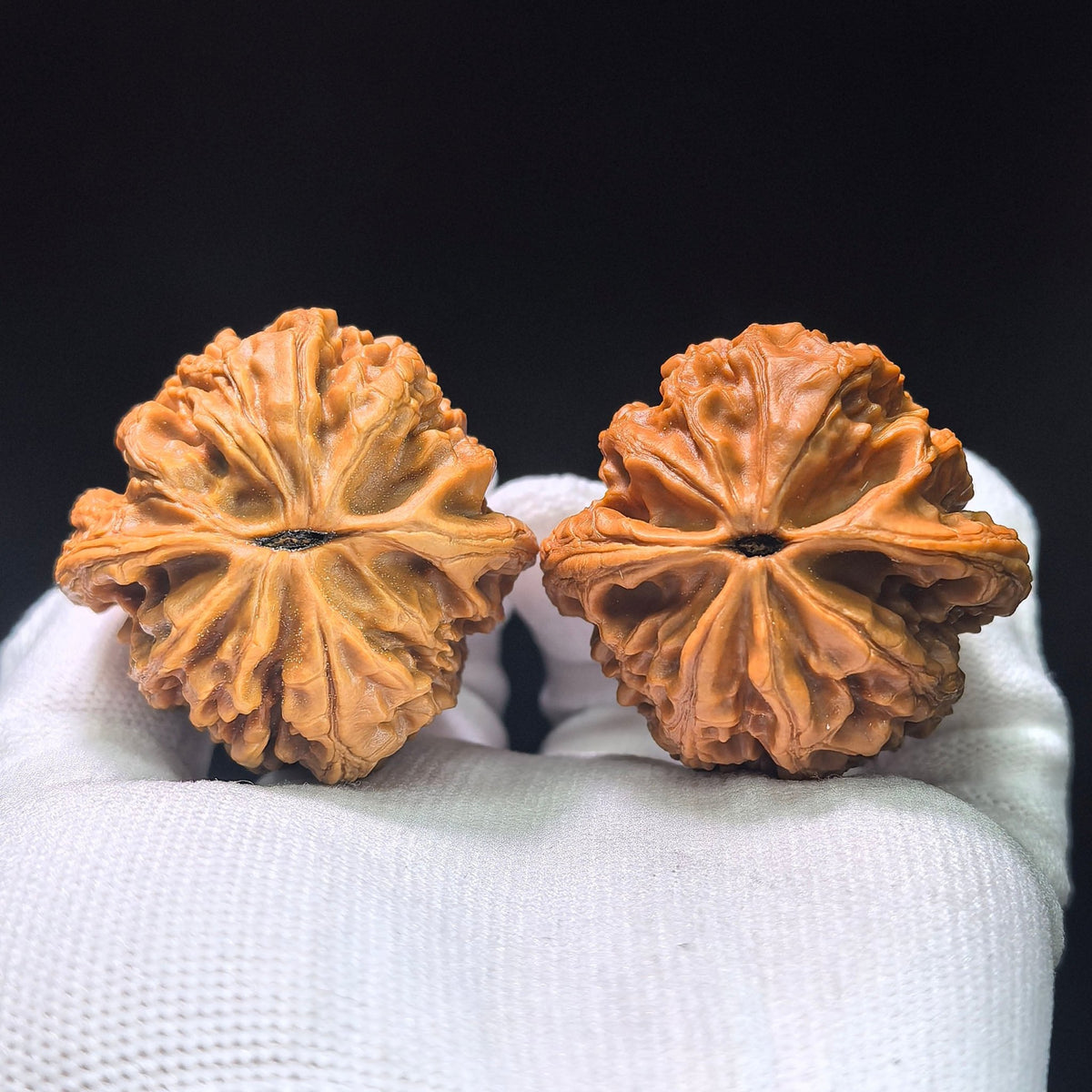 The "Great Weathered Rock" (Da Ku Shi) Premium Low-Profile Pair | 43.0mm x 42.0mm | DKS-1301C - ThePatinaProject