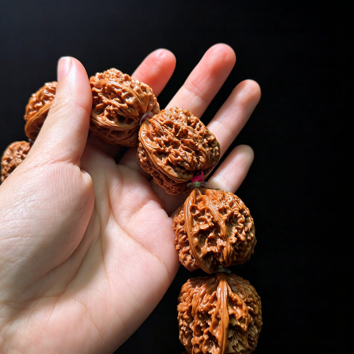 The "Gu Chan" Caterpillar (Mao Mao Chong) Artisan Bracelet | 12-Piece Set | 31.0mm range | MMCSC-1201E - ThePatinaProject