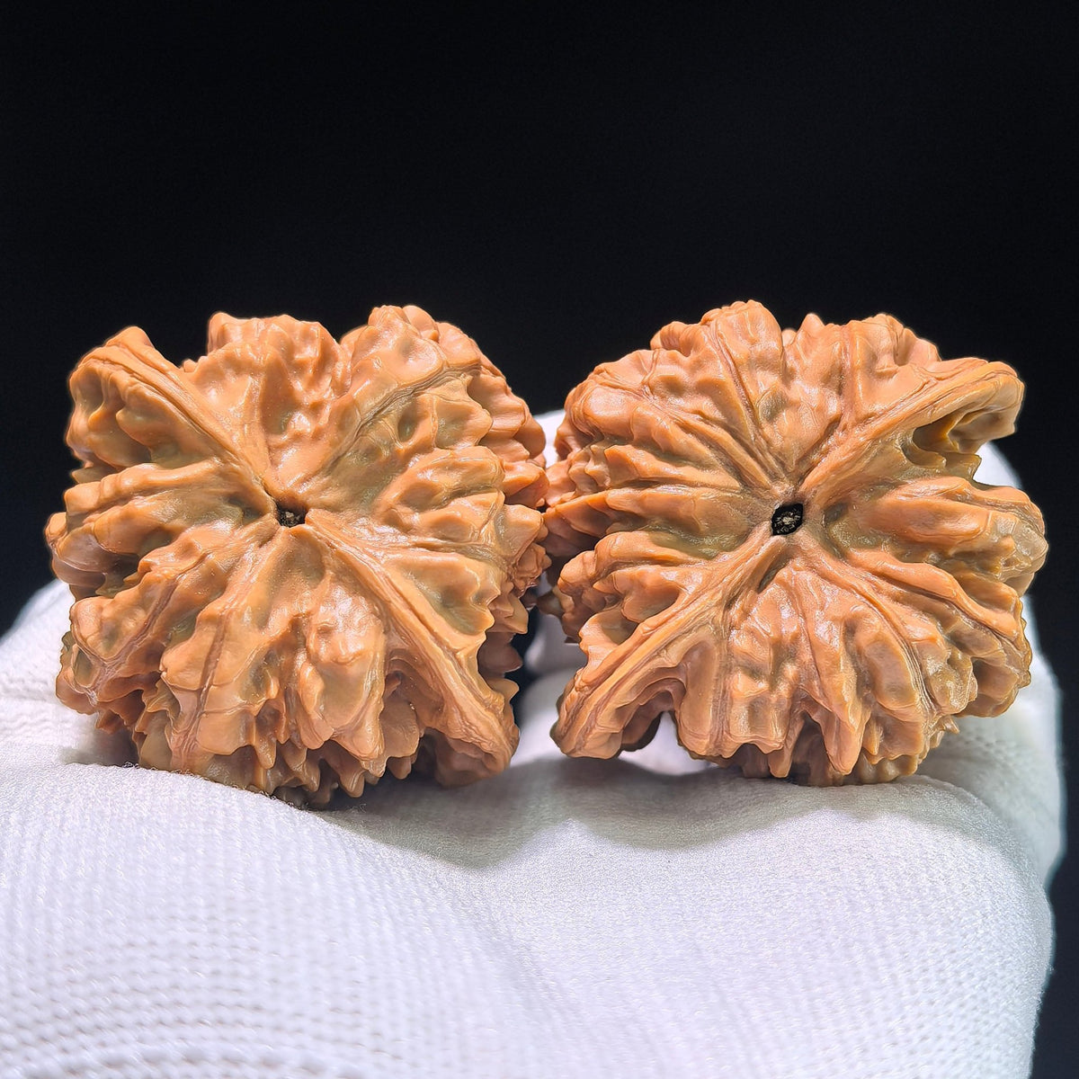 The "Heart-Shaped Concave Base Big Official Hat" Masterpiece Pair | 49.0mm x 45.0mm | DGM-1204C - ThePatinaProject