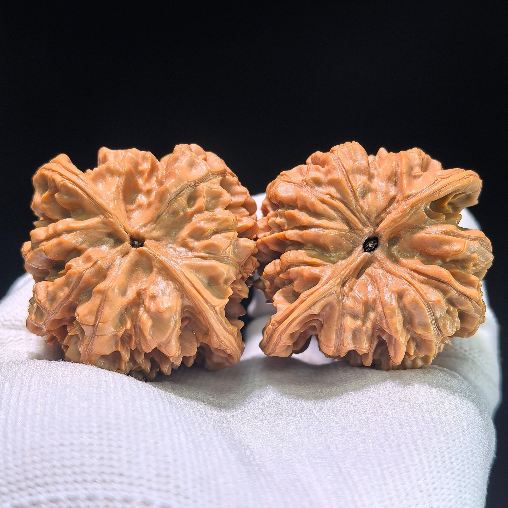 The "Heart-Shaped Concave Base Big Official Hat" Masterpiece Pair | 49.0mm x 45.0mm | DGM-1204C - ThePatinaProject