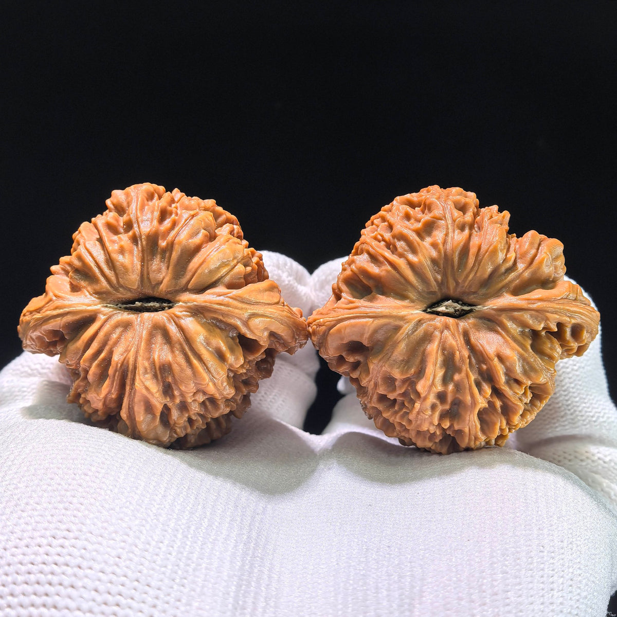 The "Heart-Shaped Concave Base" Nanjiangstone Elite Pair | 42.0mm x 40.0mm | NJS-1206C - ThePatinaProject